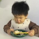 알콩달콩 | 안양 수제이유식 알콩달콩얌얌 평촌점 솔직후기