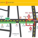 중앙로 청소년을 위한 차 없는 거리 Daum카페