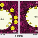 술상무