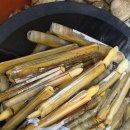 옛집황토방2 | 🌿 가족펜션 찾다가 제대로 힐링하고 온 옛집황토방펜션 후기 ^^