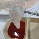 주문진맛젓갈 | 주문진 어민 수산시장 애견동반 모듬회 먹고 온 후기