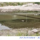 파인트리 캠핑장