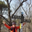 좋은 아침 이미지