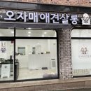 오자매 애견살롱 이미지