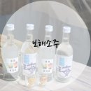 보해 신제품 바다로부터 온 맛있는 소주 보해소주가 탄생했네!!