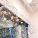 도니바니 이미지