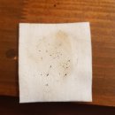 도톨그루밍 | 고양이 턱에 블랙헤드 턱드름 관리 시작! 고양이 식기 추천 #내돈내산