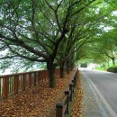 섬진강종주2 이미지