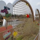 셰프라인 월드 이미지