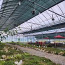 솔가람어린이집 | 솔가람피크닉 / 대구 가까운 아이와 갈만한 캠프닉 / 성주 갈만한 곳 / 당일치기 물놀이 / 경북 추천...