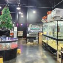 단짠아쿠아 삼천점 이미지