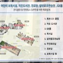 백석생활체육공원 리틀야구장 이미지