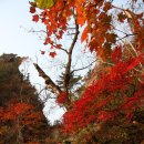 설악산 단풍(공룡능선) 이미지 이미지