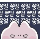 나르스튜디오