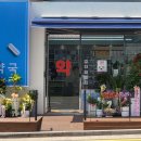 솔빈약국 이미지