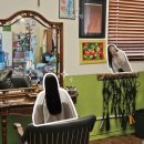 용산-83 | [서울/용산구] 레트로 무드 용산 미용실 오테르 남영 | 뿌리매직 대만족 후기 가원쌤 추천