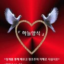 창조주의 Daum카페
