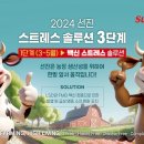 선진솔루션