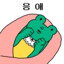 해초과메기양정점 이미지