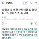 줄취소 될 뻔한 수학여행 길 열렸다…‘노란버스’ 단속 유예 이미지