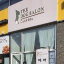Dog Salon 이미지