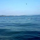 자연속풍경민박 이미지