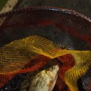 화현낚시터 이미지