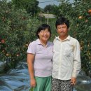 조안농장 이미지