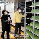 새싹농장 이미지