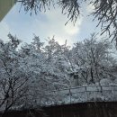 면목동-117 이미지