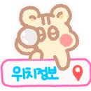 (주)삼성여행사 이미지