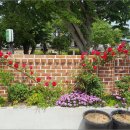 해오름한옥민박 이미지