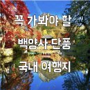 231029_[내장산국립공원] 🍁백암산🍁백양사 이미지