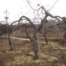 앙성면사무소 이미지