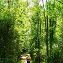 가락슈퍼 이미지