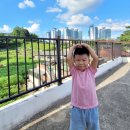 감사반 : 박상우 : 푸른 하늘의 날 이미지