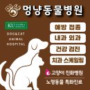 미소동물병원 | 오산동물병원, 노령견, 노령묘 복합 기저질환 + 치과수술(스케일링, 발치) 과정, 동탄동물병원