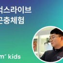 트루트립 이미지