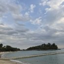 (주)팀내쇼날 | 아이랑 둘이 싱가포르 여행 기록