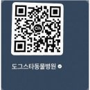 스타동물병원 | 합리적인 비용과 전문적인 진료를 제공하는 수원동물병원 도그스타 동물병원