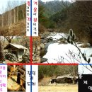 봉화강아지마을 네이버블로그