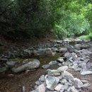 돋을볕펜션 | 제천계곡펜션 자연풍경이 너무 마음에들던 돋을볕펜션