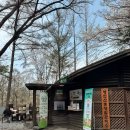 철쭉동산 주변경관조 | 가볼만한곳] 영인산 자연휴양림 '떡갈나무동' 찐 후기! (ft. 수목원 철쭉, 여름 물놀이장, 필수 준비물) 🌿