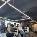 라인피티 이미지