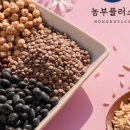 빈이푸드 이미지