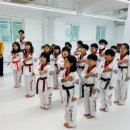 큰나무태권도장 이미지