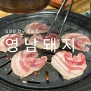 돼지 | 해운대 맛집 영남돼지 내돈내산 후기