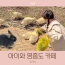 시루꽃이야기 | 영종도 아이랑 체험 카페 토끼 거위 먹이주는 시루앤케이크