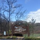 탑골길 | 양산대운산 자연휴양림 예약방법/이용요금과 후기(산수유)