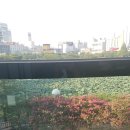 상무떡방앗간